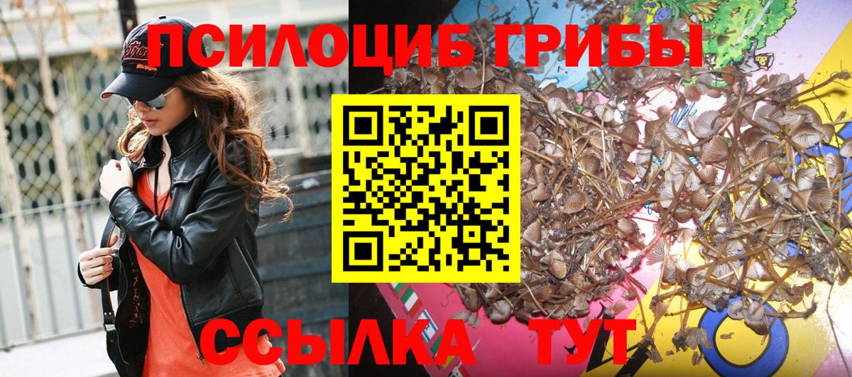 Псилоцибиновые грибы GOLDEN TEACHER Вичуга