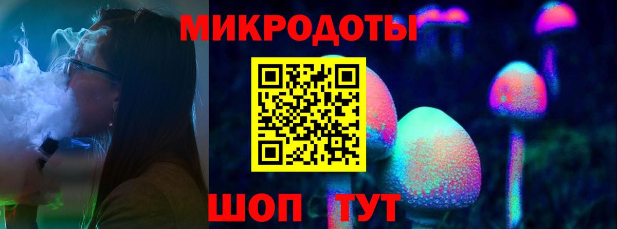 Вичуга  Галлюциногенные грибы Psilocybe  Вход с VPN 